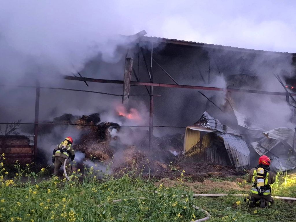 pożar, gospodarstwo, budynek gospodarczy, zwierzęta