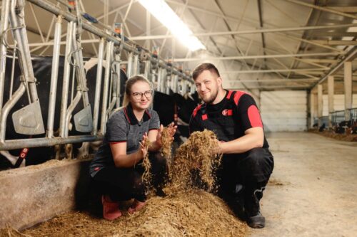 robot udojowy, automatyczny dój, bydło mleczne, Lely, produkcja mleka