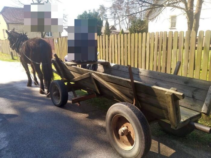 zaprzęg, upadek, ranny mężczyzna, pijany woźnica