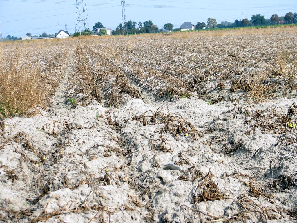 uokik, przewaga kontraktowa, spółka, zarzuty