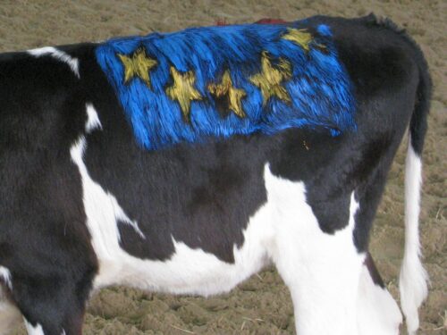 fbzpr, sikora, copa-cogeca, wpr