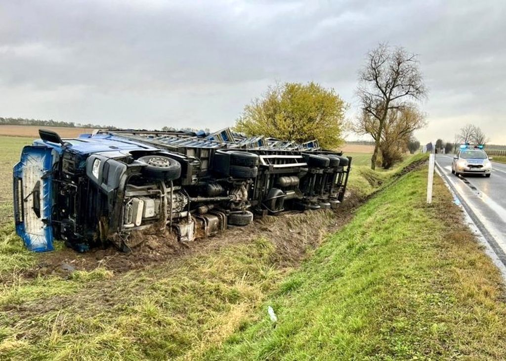 ciężarówka, kolizja, przewóz drobiu, ciężarówka z drobiem