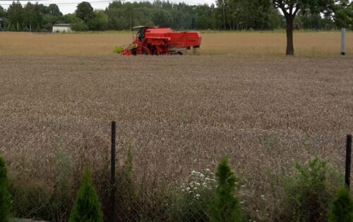 pzprz, wieś, praca rolników, produkcja na wsi