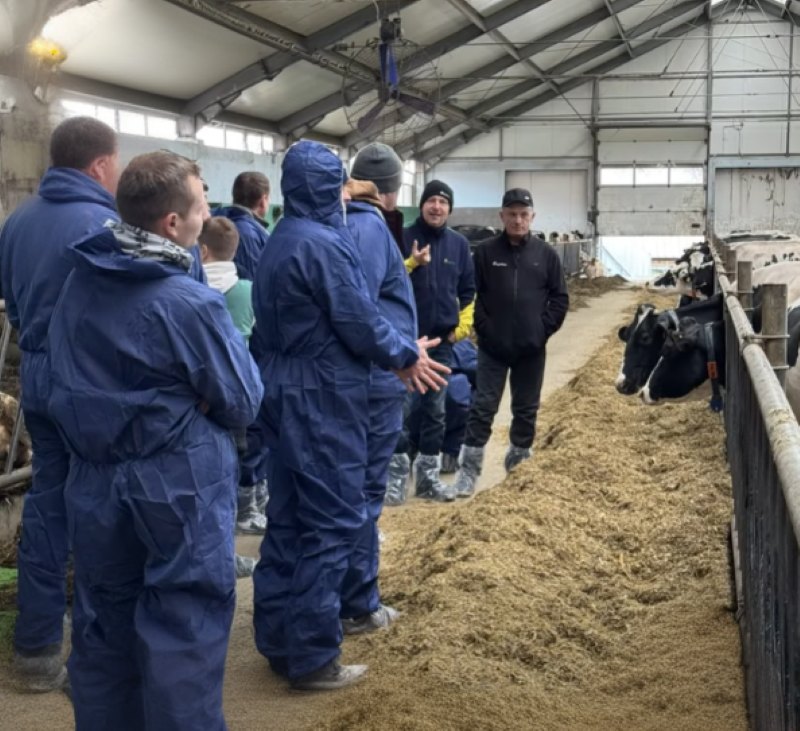 Constant Feeding, Agrifirm Polska, żywienie krów mlecznych, TMR, stabilny żwacz, pasza dla bydła, wydajność mleka