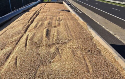 dopłaty do eksportu zbóż, rynek zbóż, ceny zbóż, samorząd rolniczy