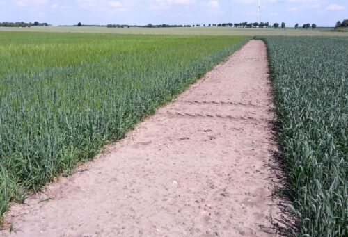 izba rolnicza w opolu, dzierżawa rolnicza, ustawa o dzierżawie, umowa dzierżawy