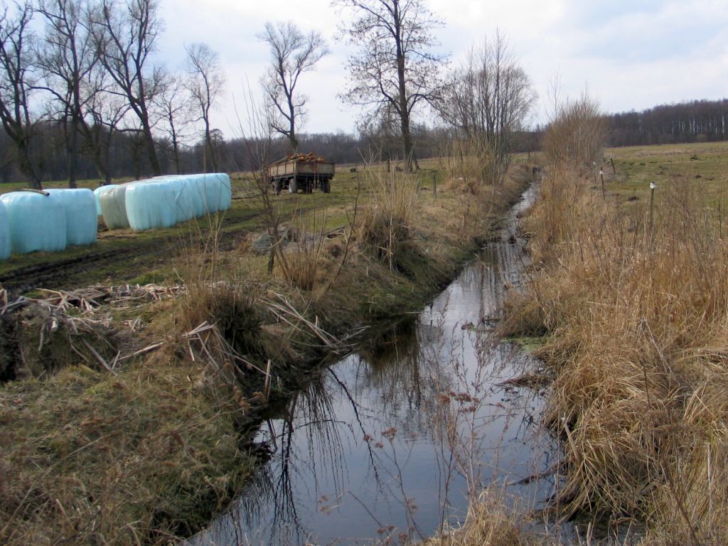 rolnictwo, gospodarowanie wodą, woda w rolnictwie, cieki wodne