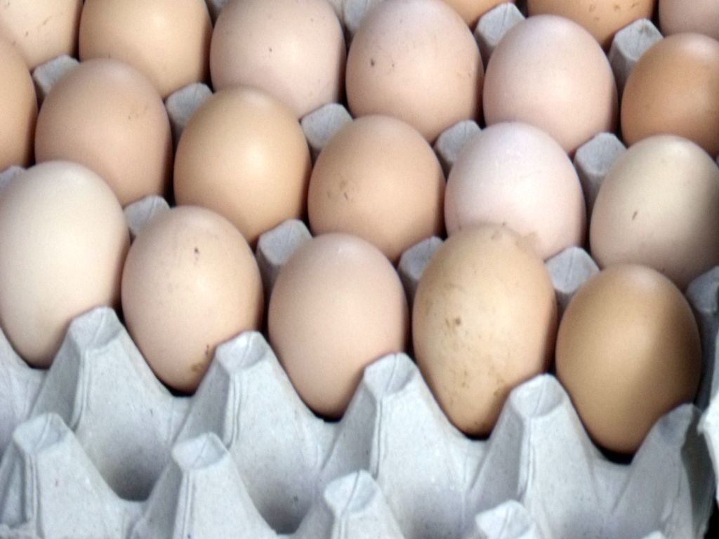 Krajowa Izba Producentów Drobiu i Pasz, drobiarstwo, ceny jaj, jaja, jaja kurze, spożycie jaj, jajko, kury nieśne