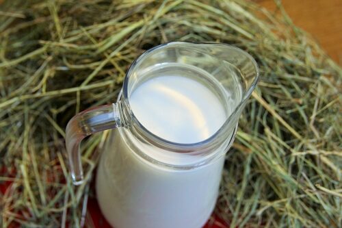 ceny mleka 2025, rynek mleka w Polsce, produkcja mleka, Martin Ziaja, rynek mleczarski, nadprodukcja mleka