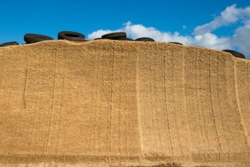 pochp, choroba obturacyjna płuc, rolnicy, krus