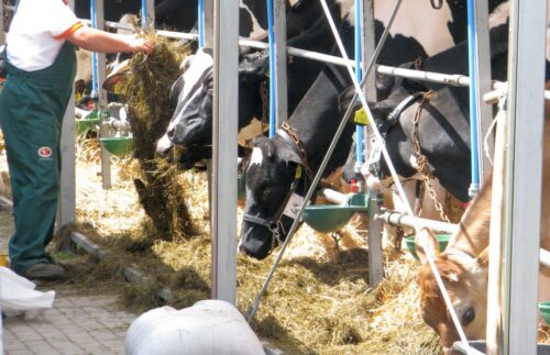 premia, młodzi rolnicy, ps wpr, arimr