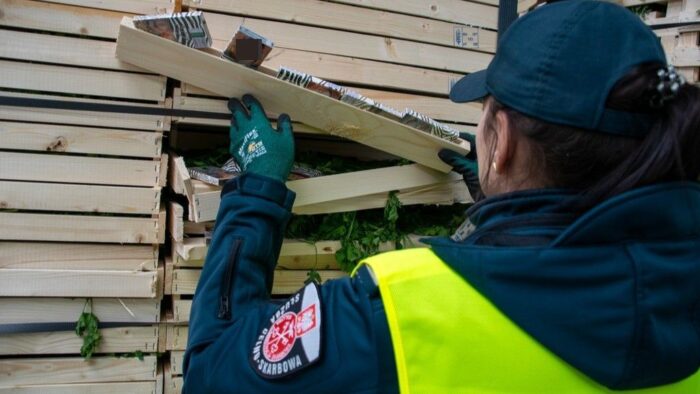 kas, przemyt, papierosy, pietruszka