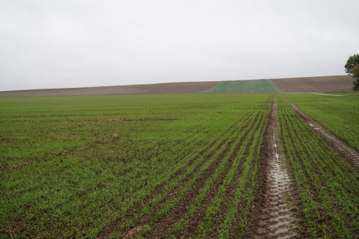 rolnictwo zrównoważone