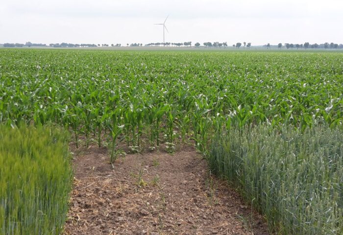 minister rolnictwa, krajewski, ubezpieczenia upraw, ustawa