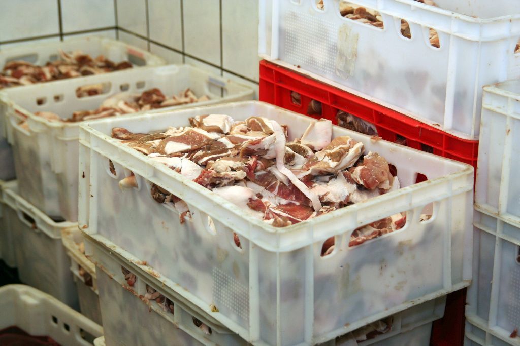 Polska importuje ponad dwukrotnie więcej mięsa wieprzowego, niż jest w stanie wyeksportować. Foto_Mirosław Lewandowski