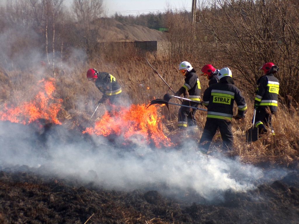 kodeks wykroczeń, przepisy, wypalanie traw, pożar trawy