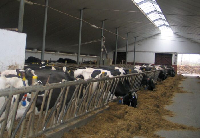 arimr, nabór, wnioski, pomoc