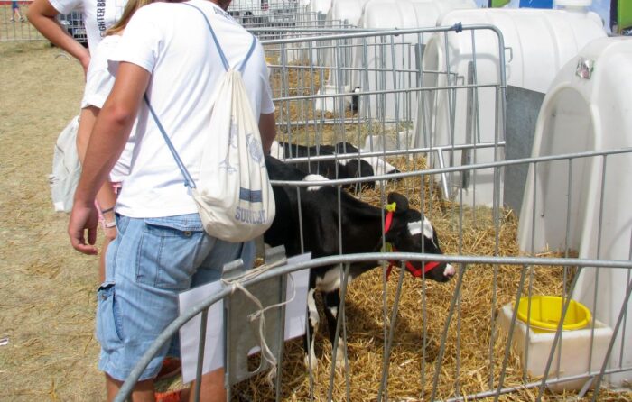 mrirw, młodzi rolnicy, premie, ps wpr