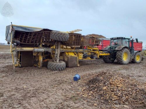 wykopki, ziemniaki, kombajn, ranne kobiety