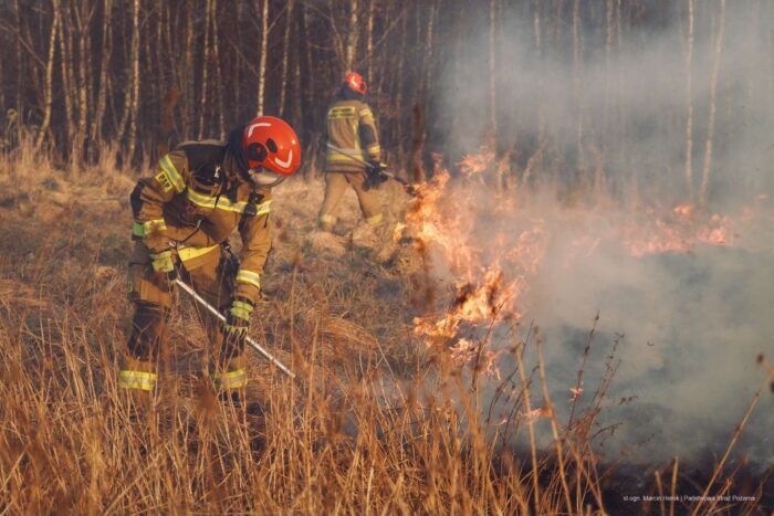 nowelizacja, kodeks wykroczeń, pożary traw, wypalanie traw