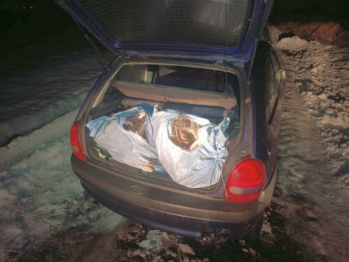 nielegalny połów, ryby, gospodarstwo rybackie, kłusownictwo