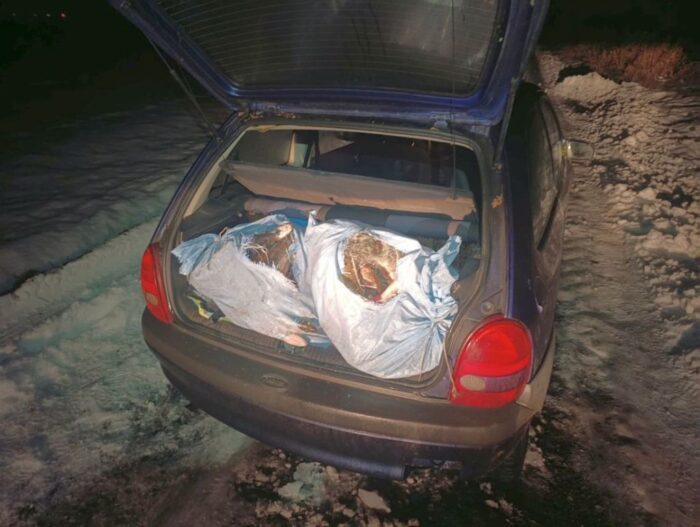 nielegalny połów, ryby, gospodarstwo rybackie, kłusownictwo