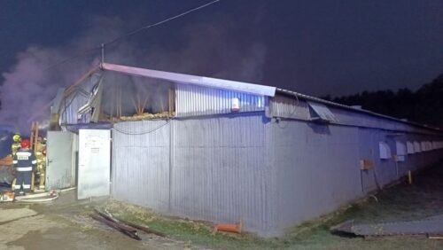 pożar, kurnik, drób, akcja gaśnicza