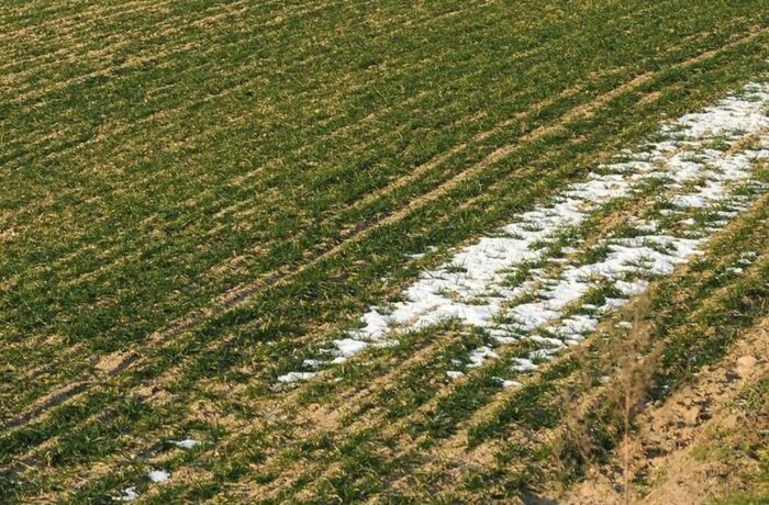 arimr, wsparcie klęskowe, wypłata wsparcia, straty
