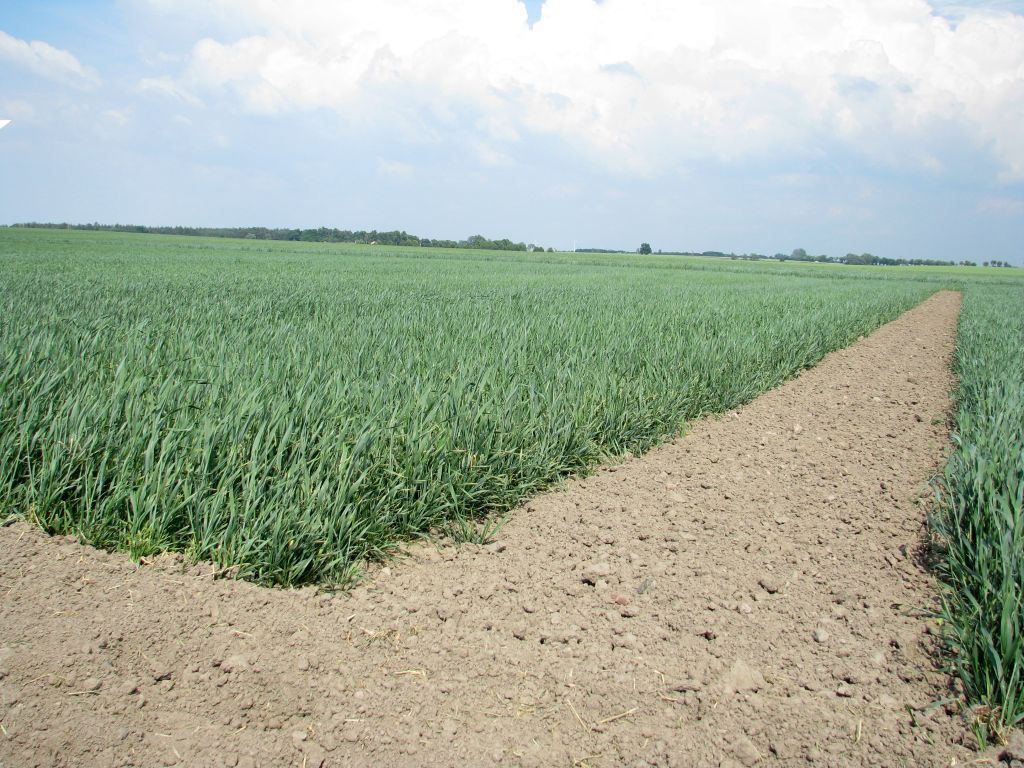 przepisy, państwowa ziemia, ustawa, zakaz sprzedaży ziemi