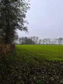 zadrzewienia śródpolne w rolnictwie