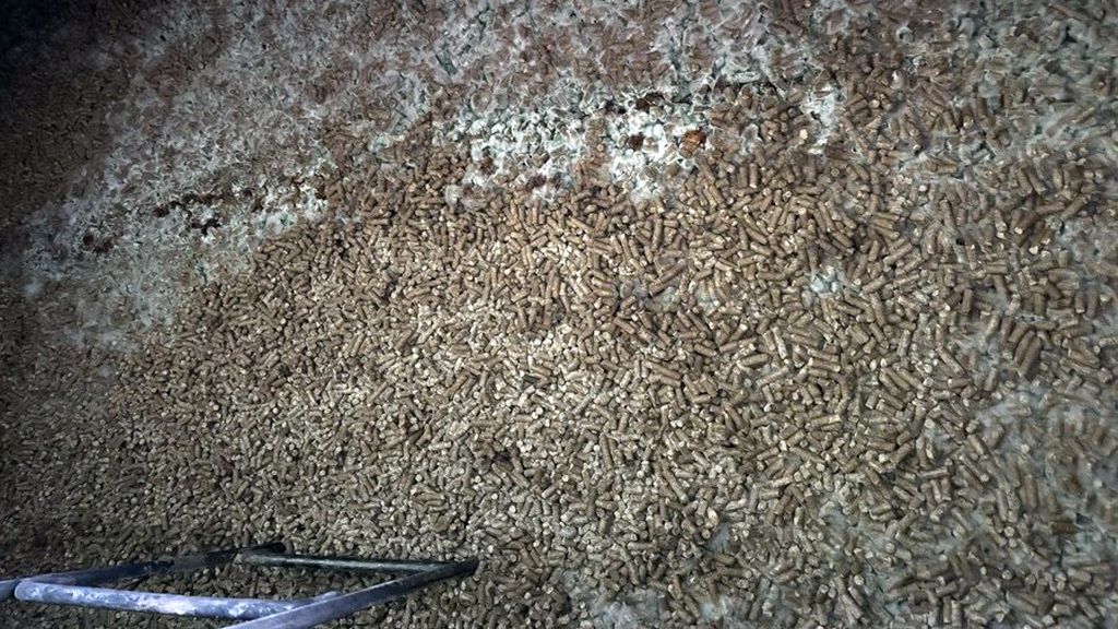 śruta słonecznikowa z Ukrainy