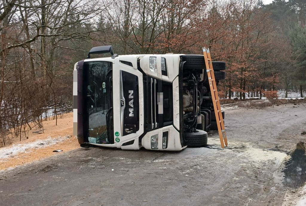transport kukurydzy