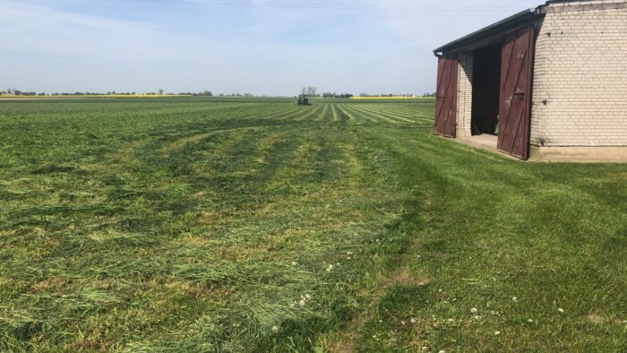 kondycja gospodarstw rolnych