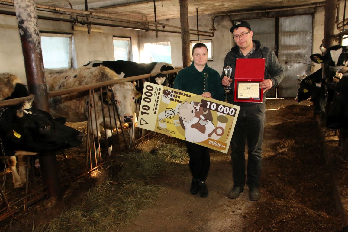 produkcja mleka, Feed Efficiency, żywienie krów, efektywność żywienia, TMR, mleczne, produkcja mleka, Bovimilk