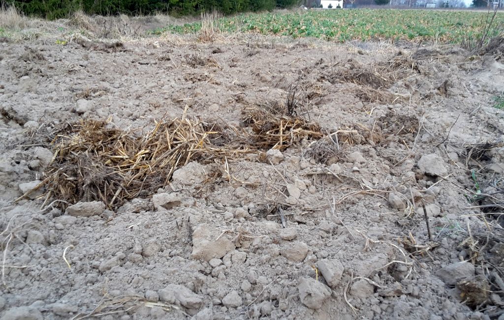 eksochematy 2026, wymieszanie słomy z glebą, wymieszanie obornika z glebą, dopłaty