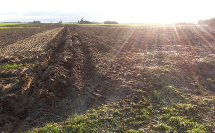 kary dla rolników