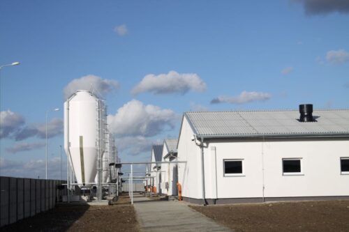 polska żywność, produkcja rolnicza, bezpieczeństwo żywnościowe, hodowla trzody chlewnej, produkcja wieprzowiny