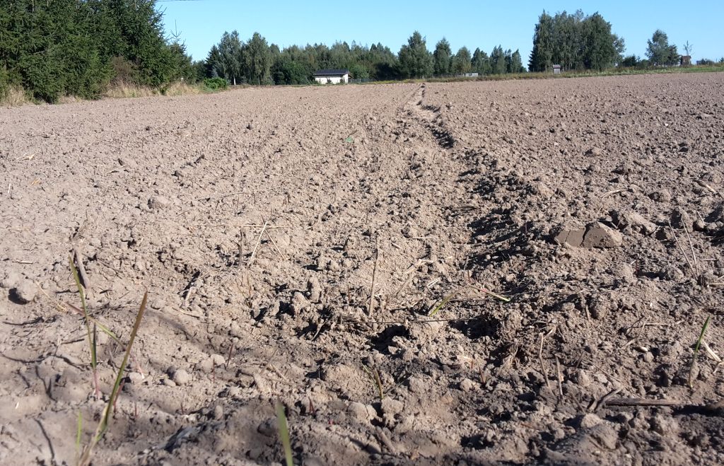 zakup ziemi rolne, grunty rolne