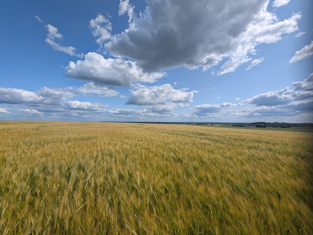ceny gruntów rolnych