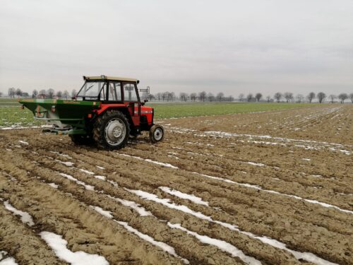 zboża ozime, dawki azotu