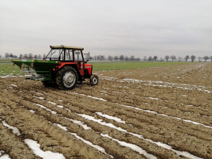 zboża ozime, dawki azotu