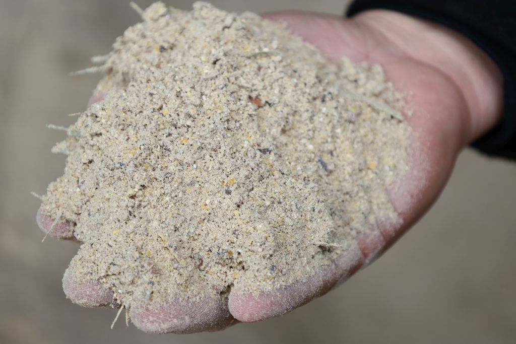 Fermentacja alkaliczna zbóż w praktyce żywienia krów mlecznych
