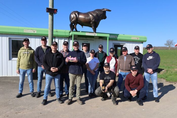 Fermentacja alkaliczna zbóż w praktyce żywienia krów mlecznych