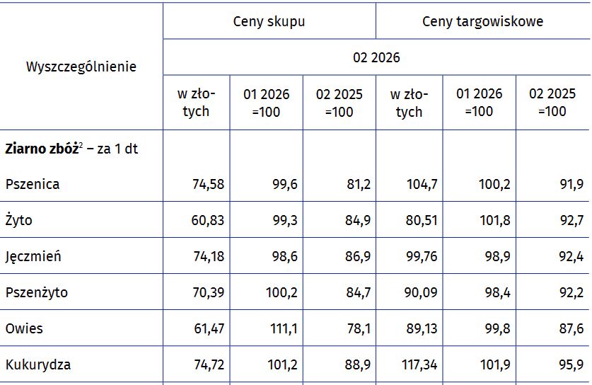 ceny skupu w lutym, ceny zbóż