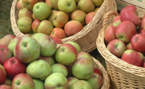 jabłka, eksport polskiej żywności 2025