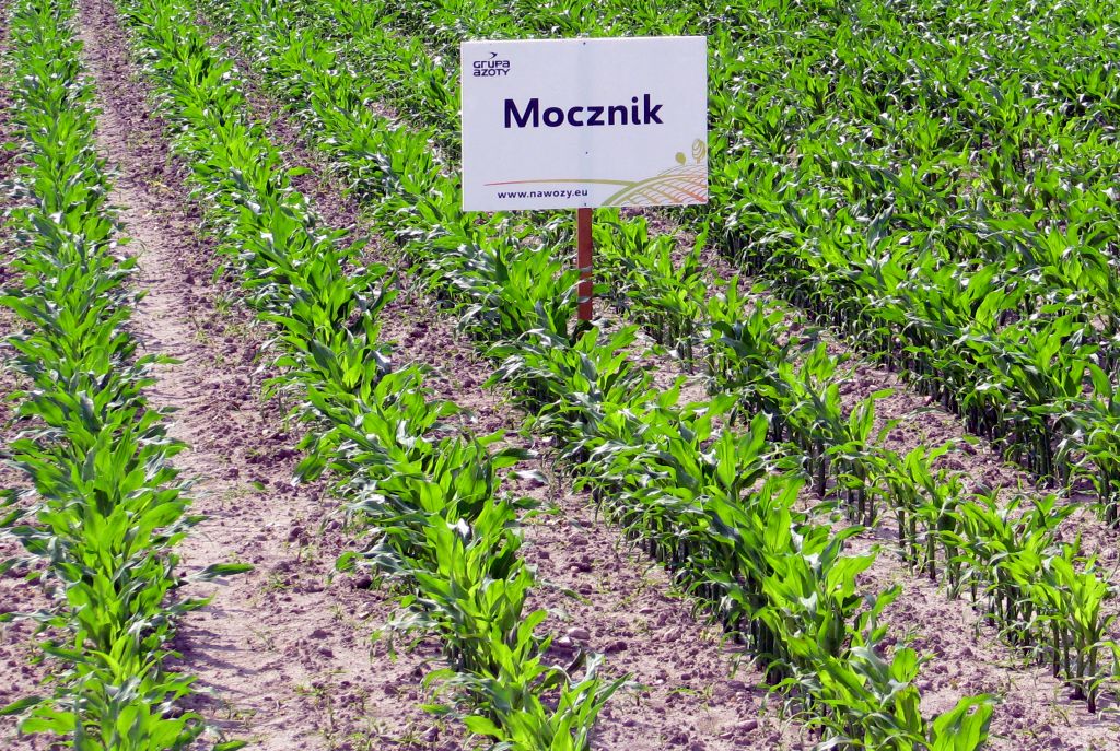 dopłaty do nawozów, mocznik