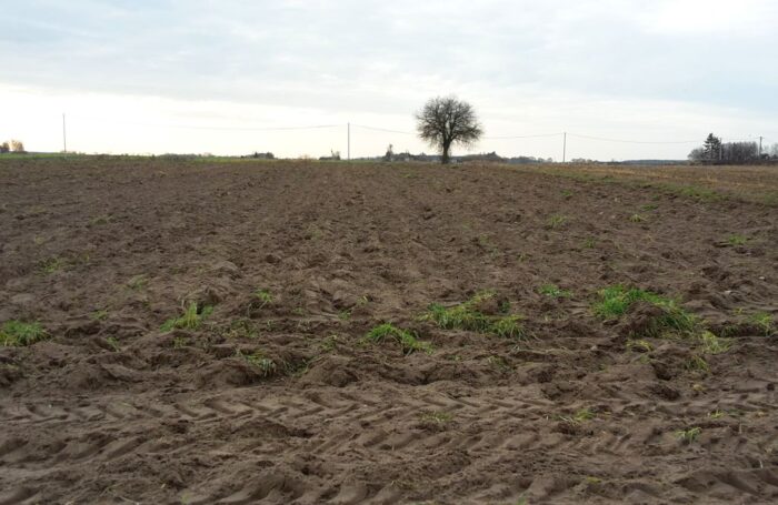 nieruchomości rolne