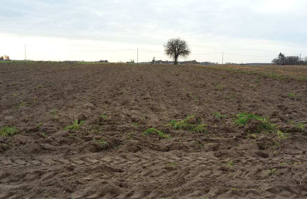 nieruchomości rolne po dzierżawie, ziemia rolna