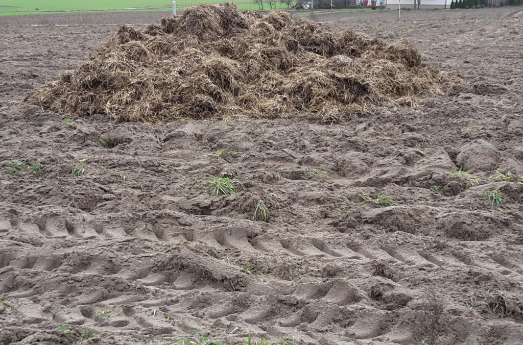 sankcje dla rolników, obornik na polu