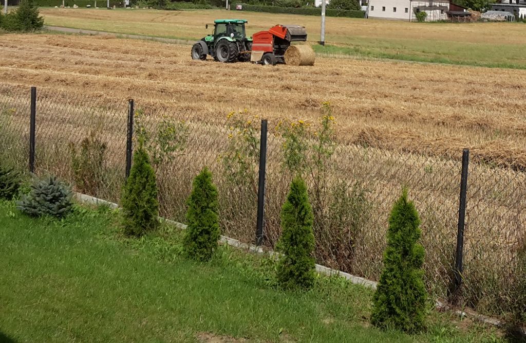 ochrona produkcji rolnej,
produkcja rolnicza